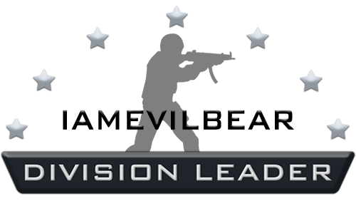 New Counter-Strike: Source Division Leader
