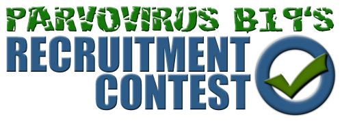 Parvovirus B19's CS:S Recruitment Contest